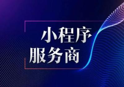 商城小程序服务商能做什么